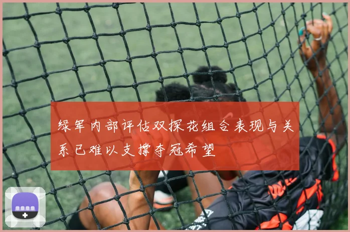 绿军内部评估双探花组合表现与关系已难以支撑夺冠希望
