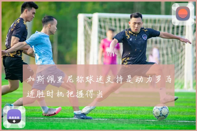 加斯佩里尼称球迷支持是动力罗马连胜时机把握得当